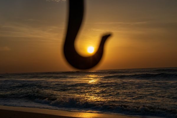 yoga at Marina Beach sunrise