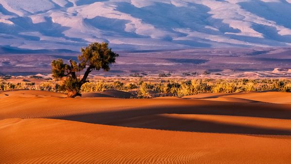worlds largest deserts adventure worlds largest deserts adventure