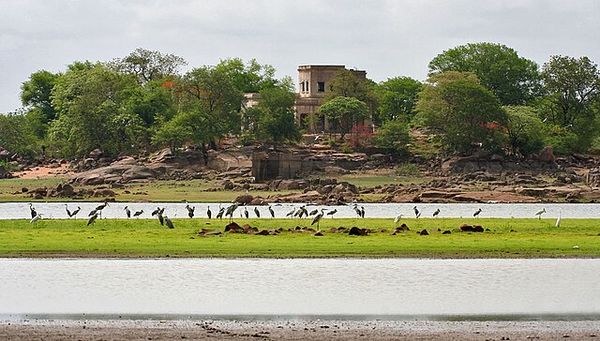 Birdwatching at Pocharam Wildlife Sanctuary Birdwatching at Pocharam Wildlife Sanctuary