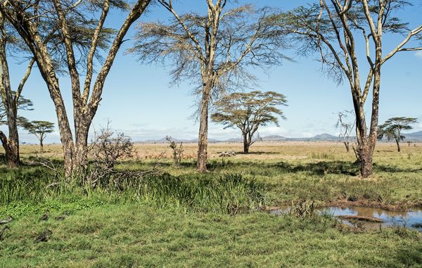 Offbeat Kenya adventures Offbeat Kenya adventures