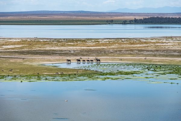 Kenyas secret wildlife reserves Kenyas secret wildlife reserves