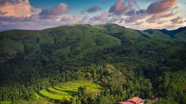 Chikkamagaluru tourist spots closure notice Chikkamagaluru tourist spots closure notice