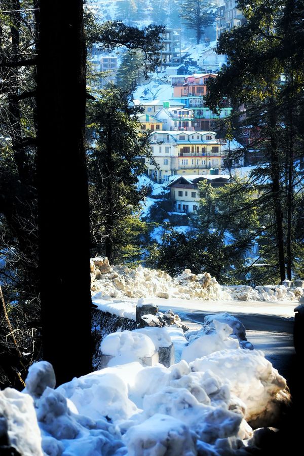 Shimla and Manali winter Shimla and Manali winter