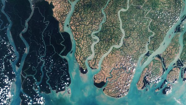 UNESCO World Heritage Site Sunderbans UNESCO World Heritage Site Sunderbans