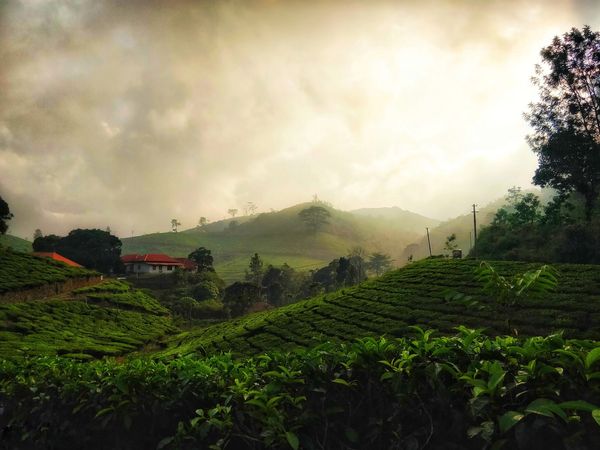 Kerala winter getaways Kerala winter getaways