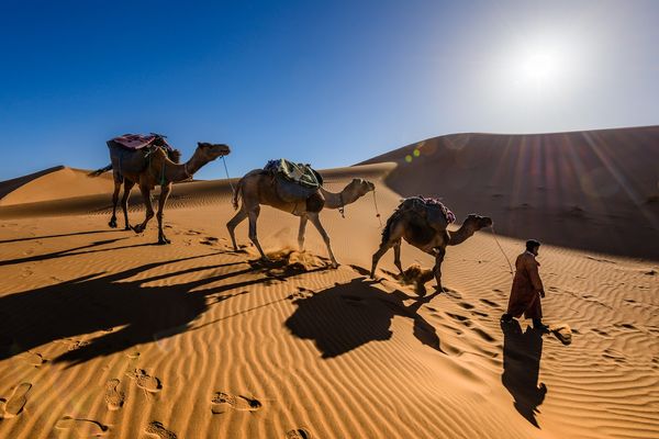 Sahara Desert Morocco Sahara Desert Morocco