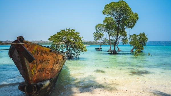 Aves Island in Andaman and Nicobar Aves Island in Andaman and Nicobar