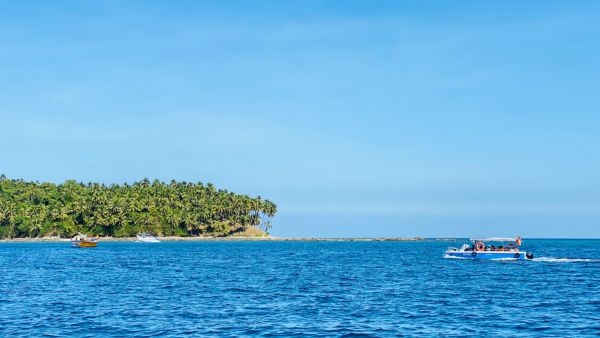 Aves Island in Andaman and Nicobar Aves Island in Andaman and Nicobar