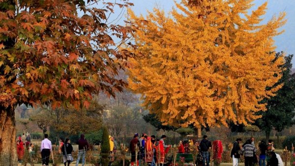 Shalimar Bagh: A Famous Mughal Garden Shalimar Bagh: A Famous Mughal Garden