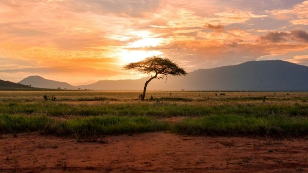 Kenya Became Visa-Free For Indians Kenya Became Visa-Free For Indians