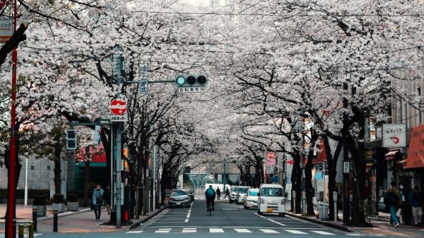 Top Destinations, Travel Tips and Tricks for 2024 Top Destinations, Travel Tips and Tricks for 2024