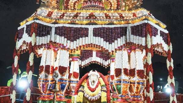 Kadalekai Parishe Bengaluru