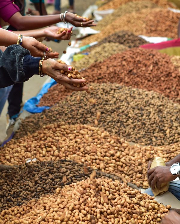 Kadalekai Parishe food stalls