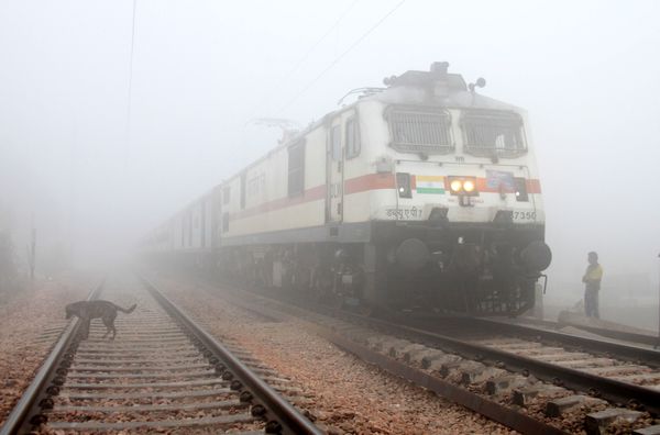 Dense fog in Chandigarh affecting flights Dense fog in Chandigarh affecting flights