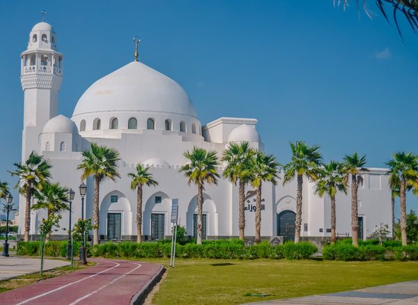 Indian Expatriates in Saudi Arabia Indian Expatriates in Saudi Arabia