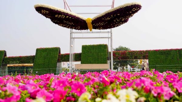 Ahmedabad Riverfront Flower Show 2024 Ahmedabad Riverfront Flower Show 2024