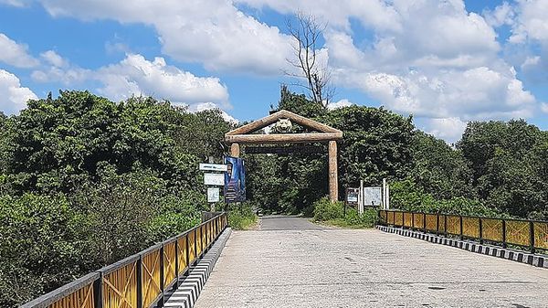 Wildlife in Dudhwa National Park