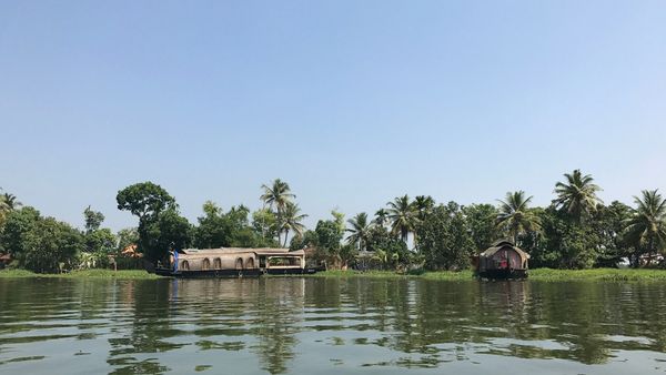 Backwaters of Padanna Kerala