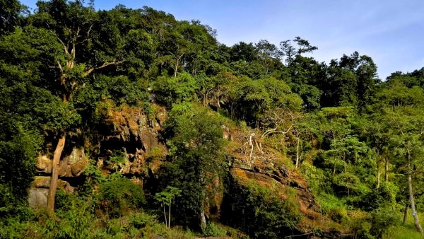 Gupteswar Forest in Odisha Gupteswar Forest in Odisha