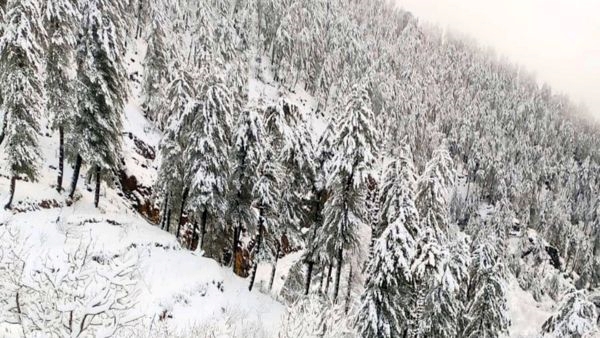 Shimla Gets Covered in Fresh Snowfall
