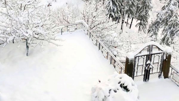 Shimla Gets Covered in Fresh Snowfall