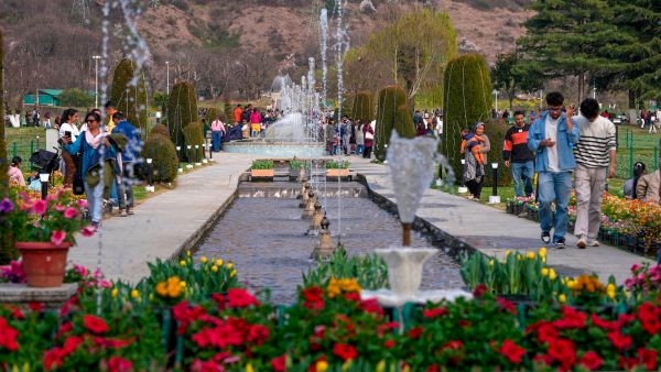 Asia s Largest Tulip Garden in Srinagar Asia s Largest Tulip Garden in Srinagar