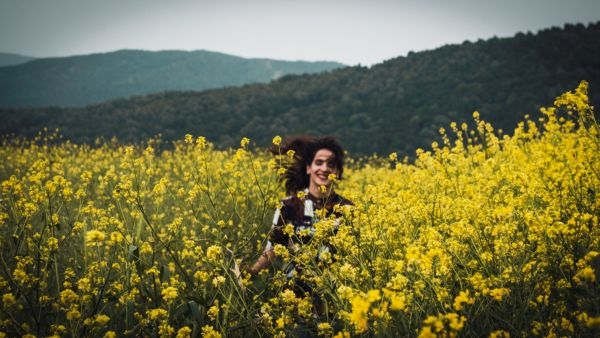 Tourists Explore Kashmir s Mustard Field Tourists Explore Kashmir s Mustard Field