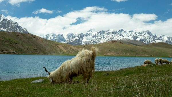 Plan a Heatwave-Beating Trip to Himachal Plan a Heatwave-Beating Trip to Himachal