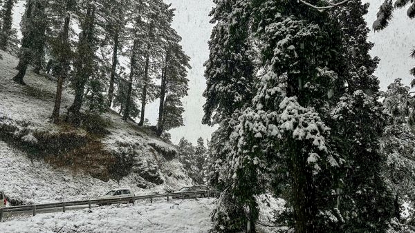 Gulmarg Blanketed in Fresh Snowfall