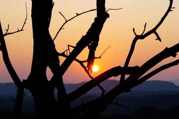 Dandeli Dandeli
