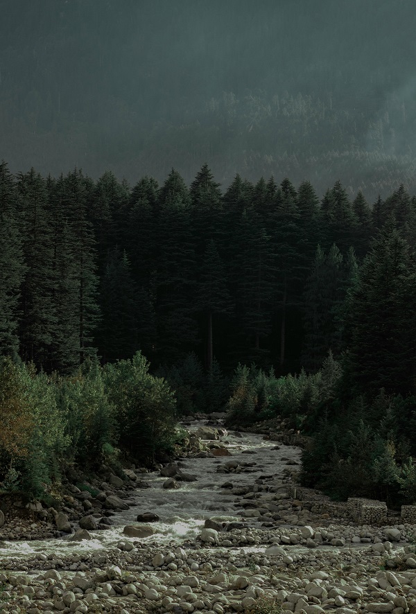 Manali Manali