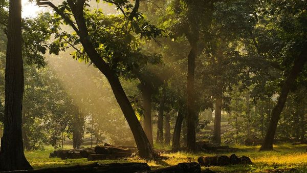 Dandeli Dandeli
