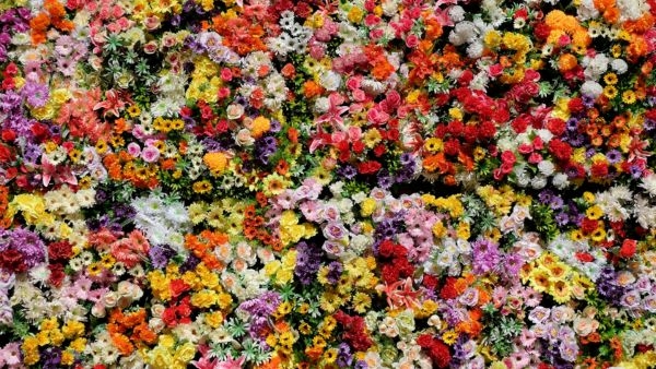 Ooty s Flower Festival 2024 Ooty s Flower Festival 2024
