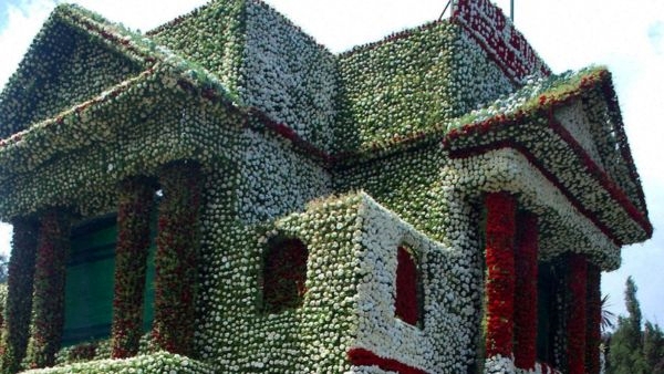 Ooty s Flower Festival 2024 Ooty s Flower Festival 2024