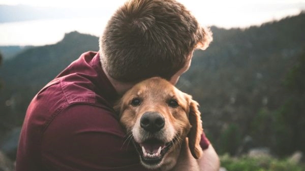 Akasa Air s Extended Benefits for Pets Akasa Air s Extended Benefits for Pets