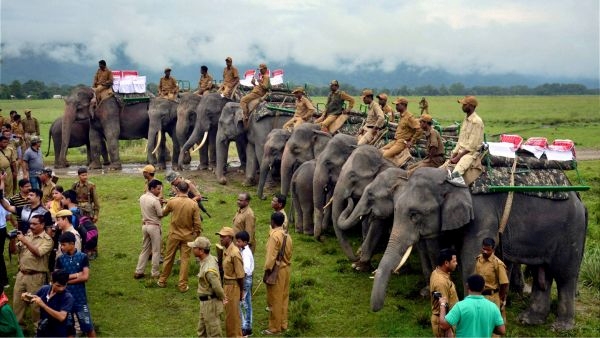 Kaziranga National Park Breaks Records Kaziranga National Park Breaks Records