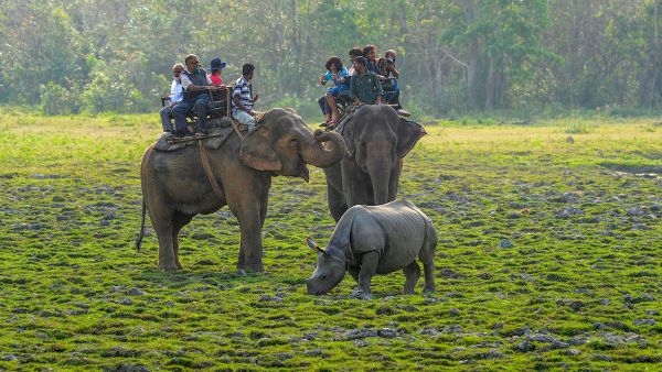 Kaziranga National Park Breaks Records Kaziranga National Park Breaks Records