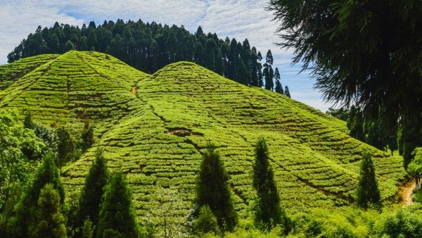 Filming Spots in Darjeeling amp amp Sikkim Filming Spots in Darjeeling amp amp Sikkim