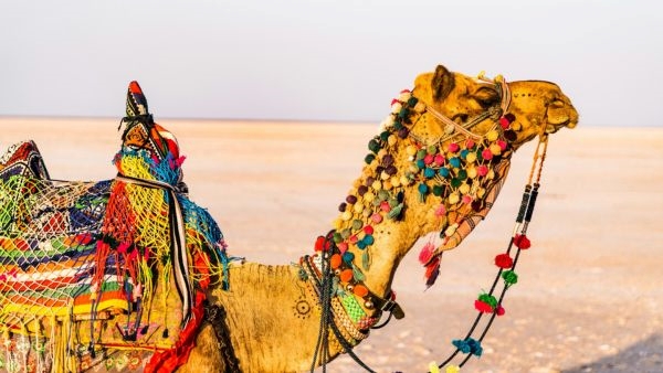 5 Days Itinerary for Gujarat 5 Days Itinerary for Gujarat