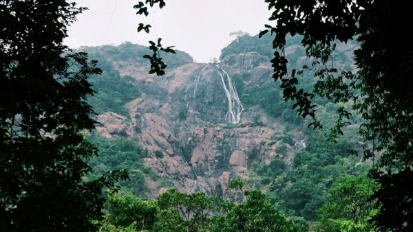 Discover Goa Beyond the Beaches