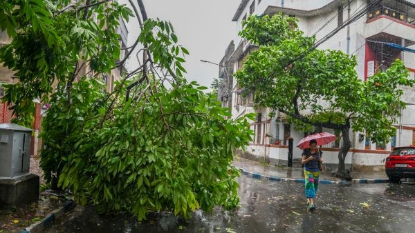 Cyclone Remal s Aftermath in West Bengal Cyclone Remal s Aftermath in West Bengal