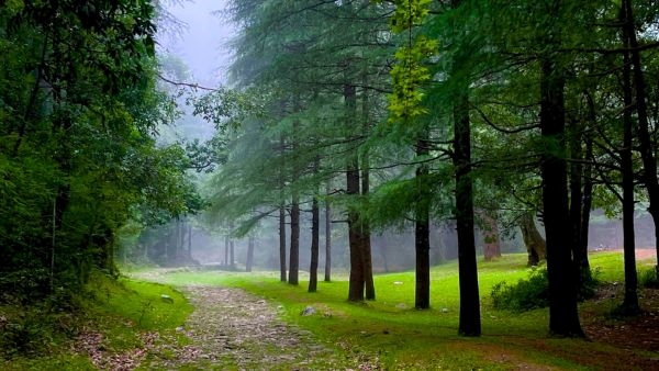Entry Fees Introduced in Nainital Entry Fees Introduced in Nainital
