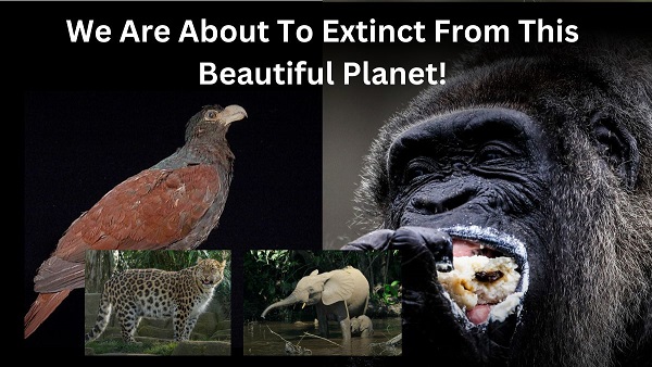 World Biodiversity Day World Biodiversity Day