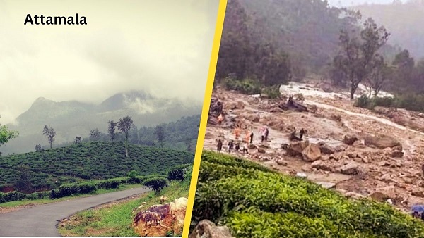 Attamala Wayanad Attamala Wayanad