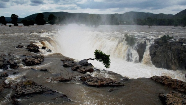 Bangalore to Hogenakkal Falls