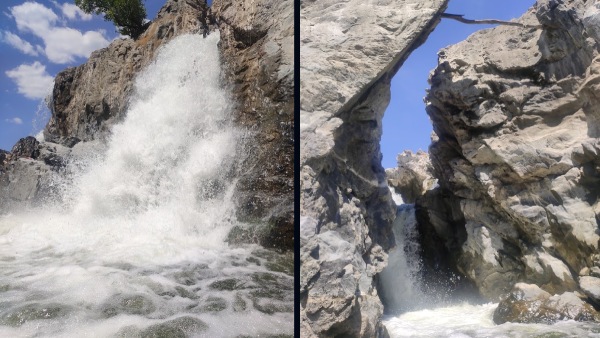Bangalore to Hogenakkal Falls
