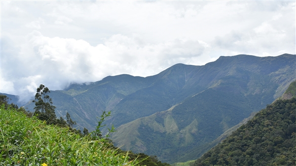 Night Safaris in Silent Valley Park
