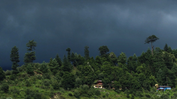 Manli in monsoon