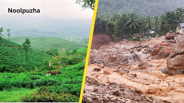 Noolpuzha Wayanad Noolpuzha Wayanad
