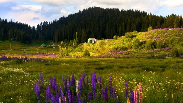 IRCTC s Fascinating Kashmir Package IRCTC s Fascinating Kashmir Package